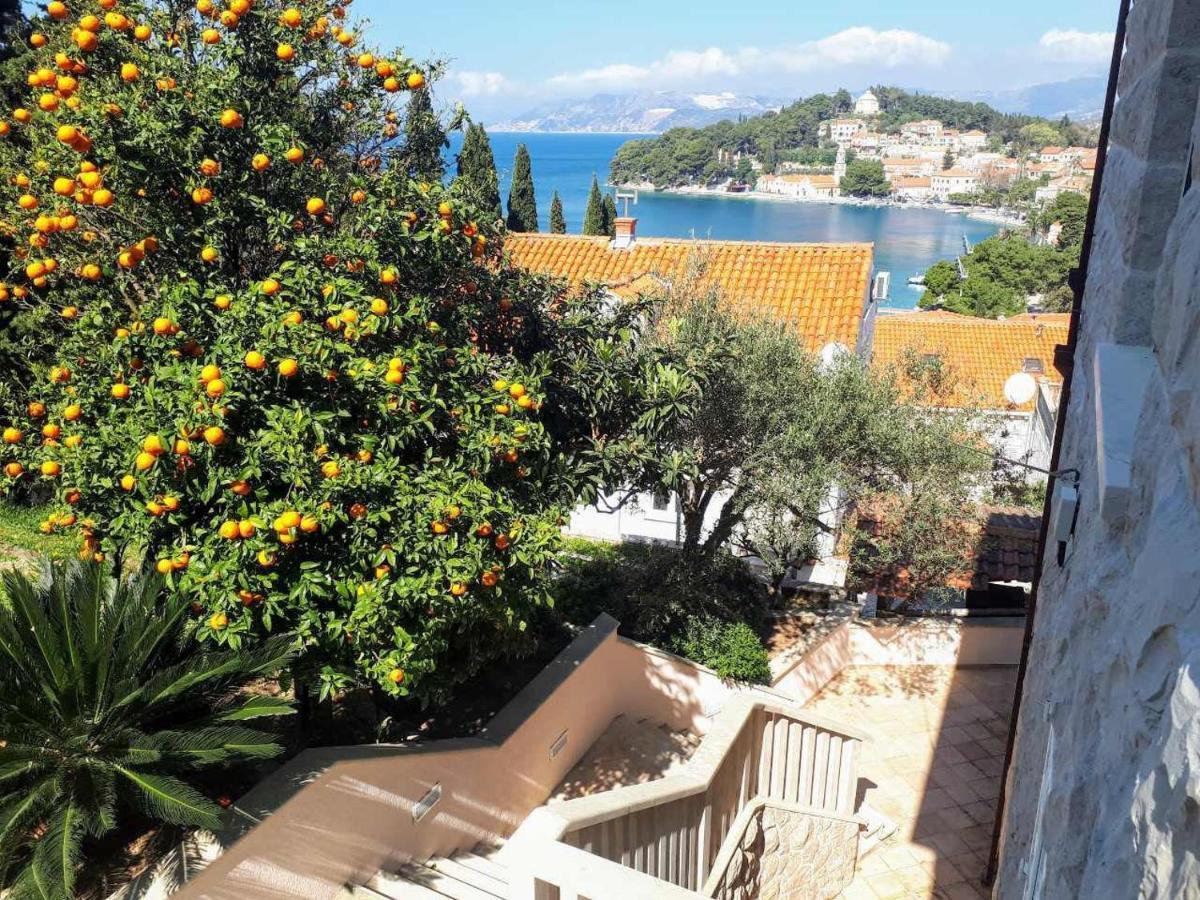 City Apartments Bobic Cavtat Extérieur photo